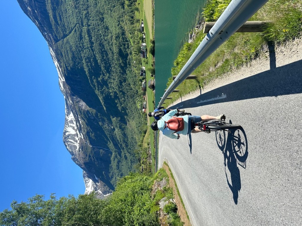 Fantastisk høstutsikt over Oldevatnet og isbrefjellene i Olden, Norge, innrammet av røde rognebær og grønne enger